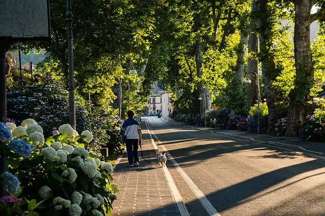 Manhattan sculpture garden founded by gallerist served eviction notice after years-long legal battle