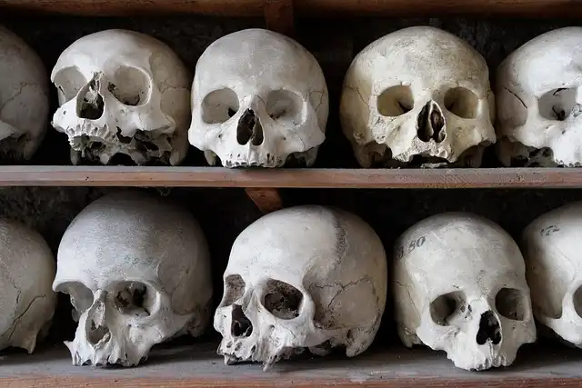 Museums & Human Remains: Ethical Display & Return