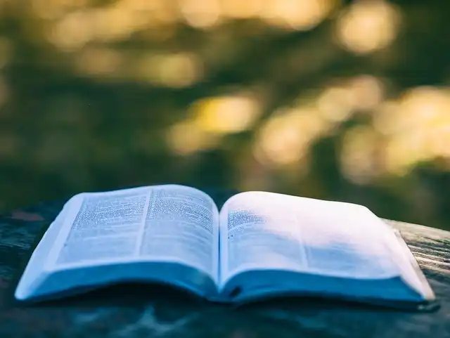 Analytical Fiction: Love, Misreading, and Character Analysis