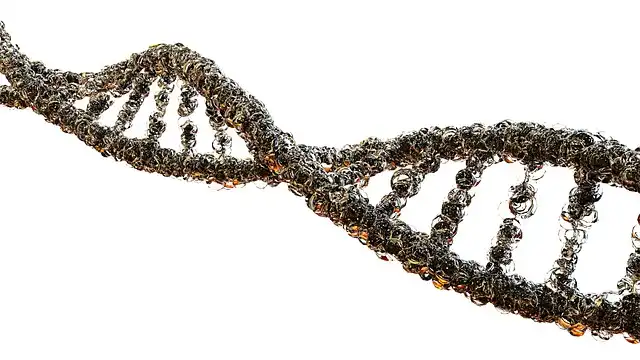 DNA Tests & Family Secrets: NPEs and Genetic Screening